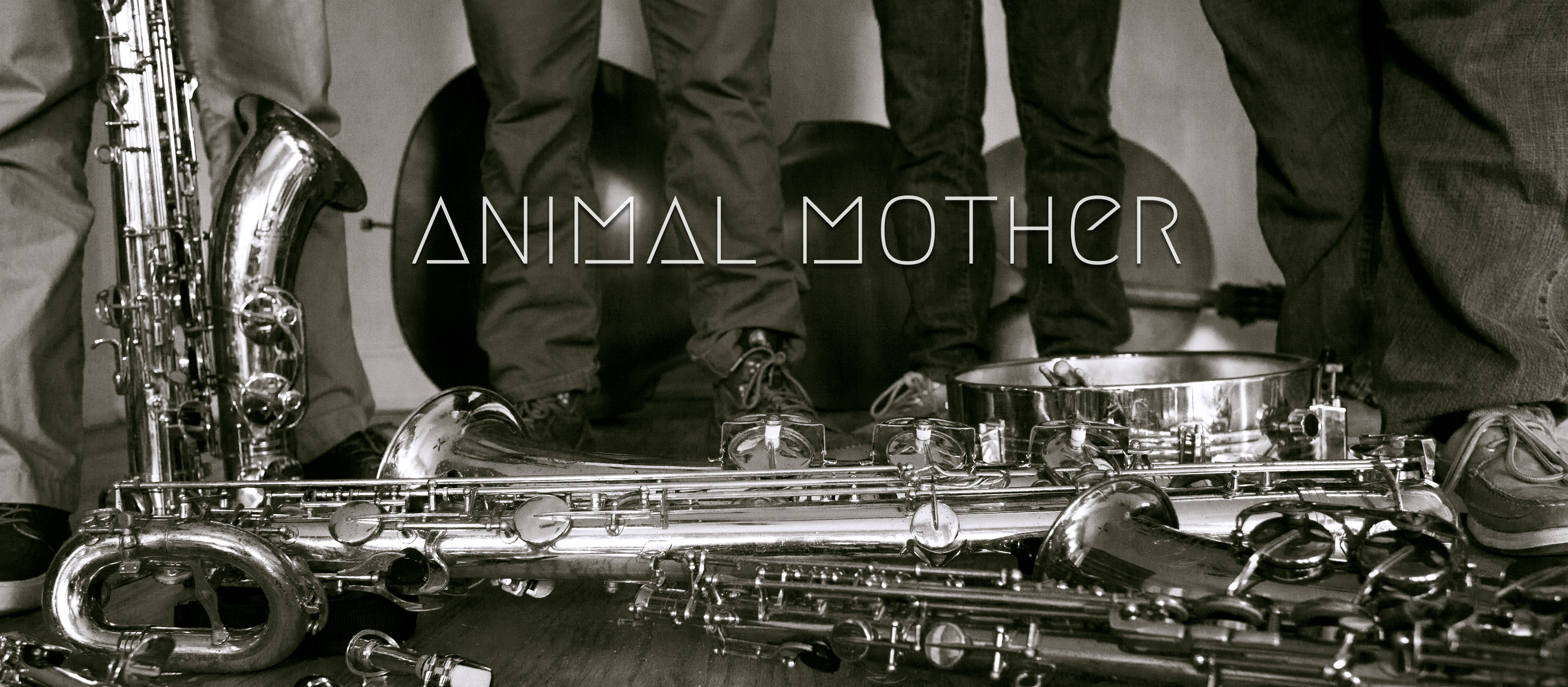 Animal Mother @ BOP STOP