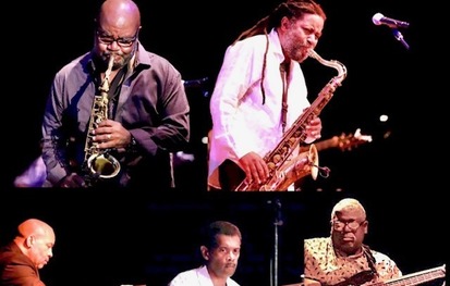 Horns And Things @ BOP STOP