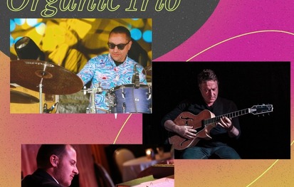 Chris Hovan's Organic Trio @ BOP STOP