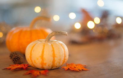 Thanksgiving Break - Closed (CFM Only)