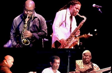 Horns And Things @ BOP STOP