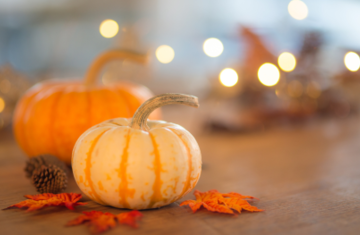 Thanksgiving Break - TMS Closed