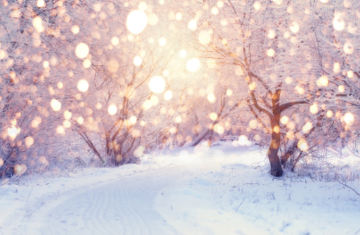 Admin Winter Break - TMS Closed