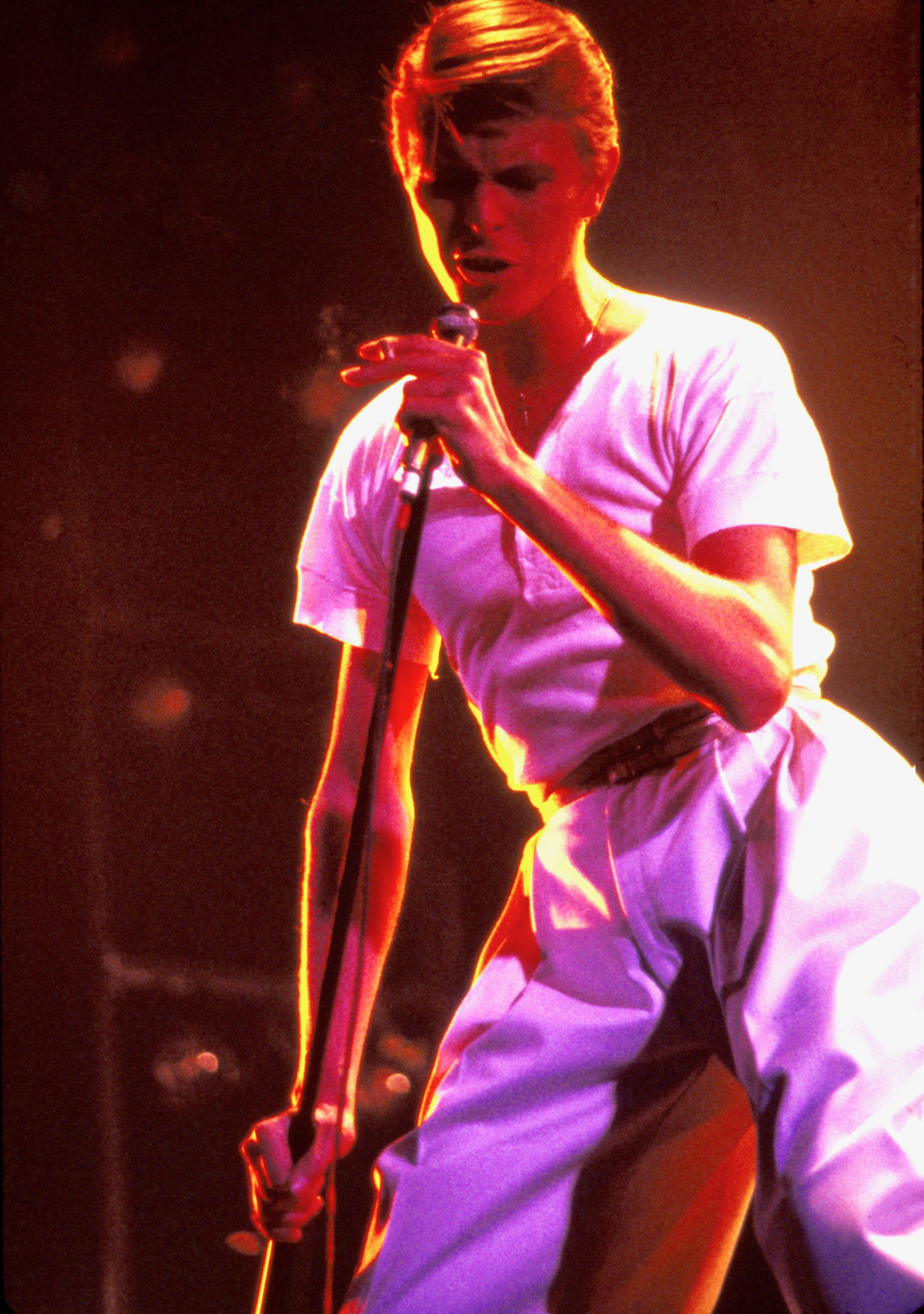 A Friday Night With(Out) David Bowie (SOLD OUT) @ BOP STOP