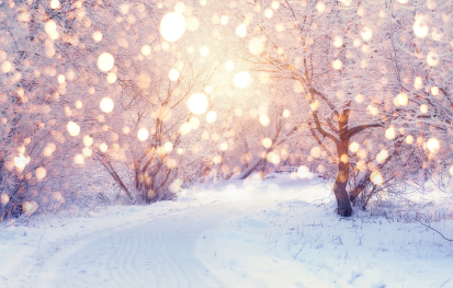 Admin Winter Break - TMS Closed
